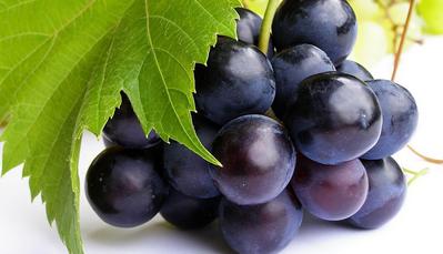 饮食健康营养师推荐秋季的5种水果