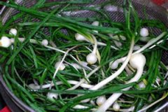 С����Ĺ�Ч������ С�����Ӫ����ֵ����Щ