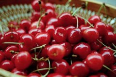 �����ӵ�Ӫ����ֵ����Щ �����ӵĹ�Ч������