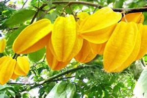 ���ҵĹ�Ч������