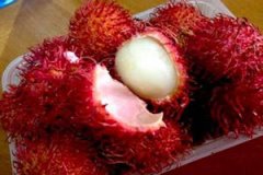 ��ë����Ӫ����ֵ��ʲô ��ë���Ĺ�Ч������