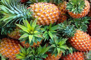 ���ܵĹ�Ч������ ���ܵ�Σ��