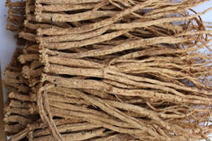 ���εĹ�Ч����������Щ