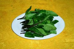 ����˵Ĺ�Ч ����˵�Ӫ����ʳ������