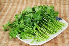 ��˵Ĺ�Ч������ ��˵�Ӫ����ֵ��ʳ�÷���