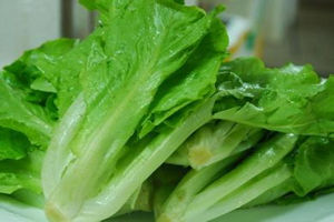 生菜的营养价值 生菜的功效与作用