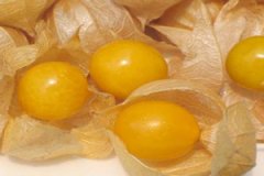 �������Ĺ�Ч������ ��������ʳ�ü�ֵ