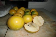 �ƾ�����Ӫ����ֵ��ʲô ʲô�ǻƾ���