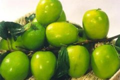 �����Ӫ����ֵ����Щ ����Ĺ�Ч������