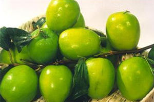 青枣的营养价值 青枣的功效与作用