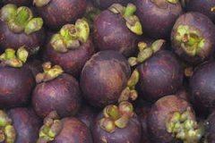 ɽ��Ĺ�Ч�����ü�Ӫ����ֵ ɽ��Ľ���