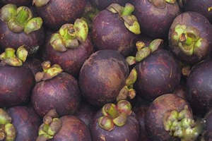 山竹的功效与作用及营养价值