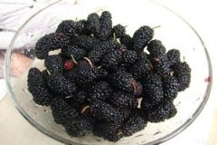 ɣ��ӵ�ʳ�÷�����ʲô ɣ��ӵĹ�Ч������