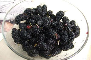 桑椹子的食用方法 桑椹子的功效与作用