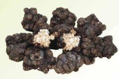 ���Ĺ�Ч����������Щ ����ʳ�÷���