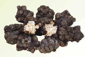 ���Ĺ�Ч������