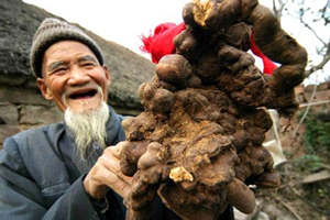 �����ڵĹ�Ч��������ʲô