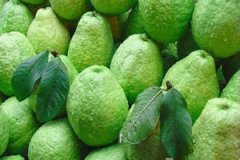 ��ʯ��Ĺ�Ч����������Щ ��ʯ���Ӫ����ֵ