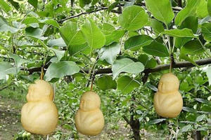 �˲ι���Ӫ����ֵ��ʲô