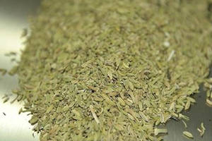 小茴香的功效与作用及营养价值