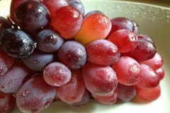 ���ӵ�Ӫ����ֵ��ʳ�ù�Ч ���ӵĽ���