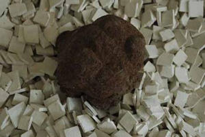 ���ߵĹ�Ч������