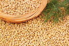 �ƶ���Ӫ����ֵ����Щ �ƶ��Ĺ�Ч������