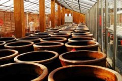 �׵�Ӫ����ֵ�빦Ч �׿���������