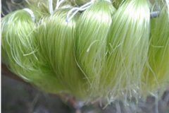 �������ʳ�÷�������ֵ ������Ľ���