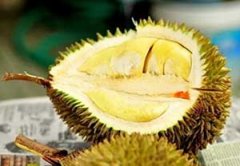 �и���������ע������ �и��������ò���