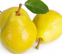 ѩ��Ĺ�Ч������ ��ѩ������Щ�ô�