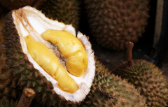 �������ܺ�ʲôһ���