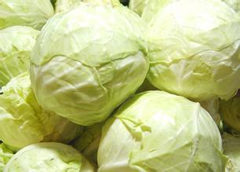 圆白菜的功效与作用及食用方法