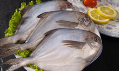 �����Ӫ����ֵ