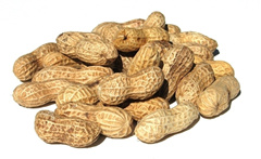 花生的功效与作用及