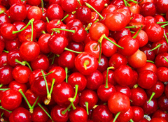 ӣ�Һ˵Ĺ�Ч������