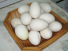 �쵰��Ӫ����ֵ