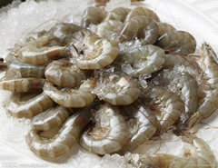 虾的功效与作用