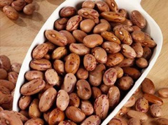 斑豆的营养价值