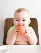 ������ʳ��ô�� ���Ԥ��������ʳ