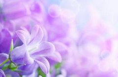 Ů��Ӧ�ö������Ƽ� �ʺ�Ů�˶�����