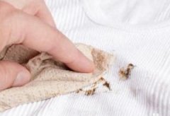 �����·�������ôȥ�� �ɳ������ϵĶ�ֲ������