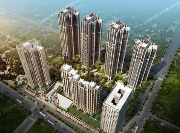 ���ز�ʮ��Ʒ����Ƶز�����