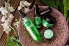 ����������ʲô��Ч �������͵Ĺ�Ч