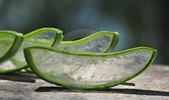 «�����Ĺ�Ч������ ��ô��«��������