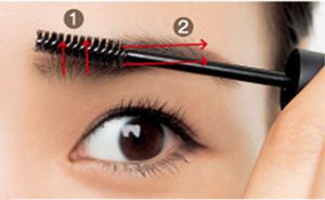 һ��ü��ô�� ����һ��ü�Ļ���