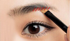 һ��ü��ô�� ����һ��ü�Ļ���