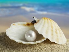 �����ȥ��ͷ������ ��ô�������ȥ��ͷ