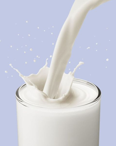 �ô�ţ��ϴ����ʲô�ô� ��ô��ţ��ϴ��