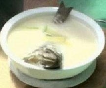 ������������� ������׽�������